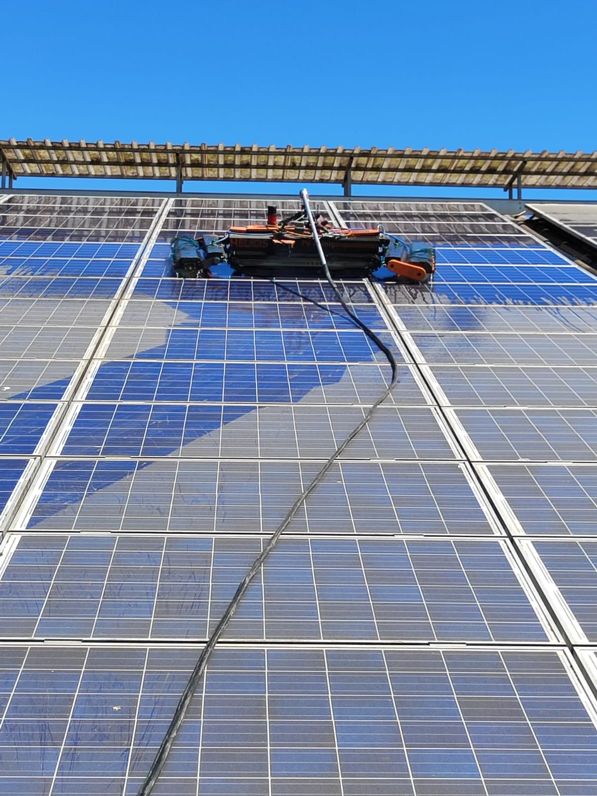 Nahaufnahme des Reinigungsroboters mit rotierenden Bürsten auf nassen PV-Modulen, daneben der Wasserschlauch.