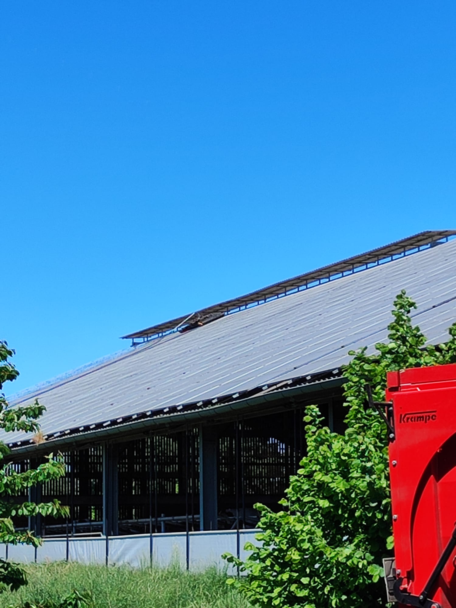 Große landwirtschaftliche Halle mit Photovoltaikanlage auf dem ganzen Dach vor blauem Himmel, oben am First der Reinigungsroboter.
